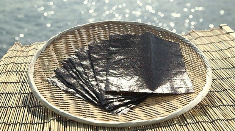 画像2: 江戸前千葉のり 一番採り(特選)大佐和産 FIRST FULSH CHIBA Roasted seaweed Made from Osawa