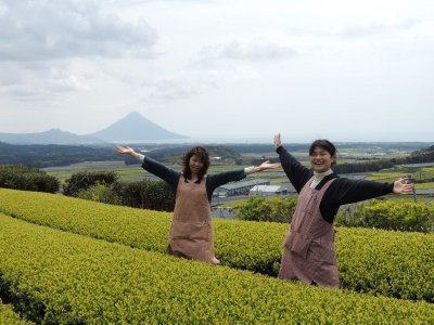 画像2: 鹿児島新茶「極・天下一」