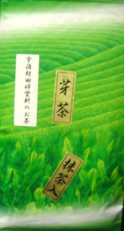 画像1: 芽茶（抹茶入） Bud tea with matcha (1)