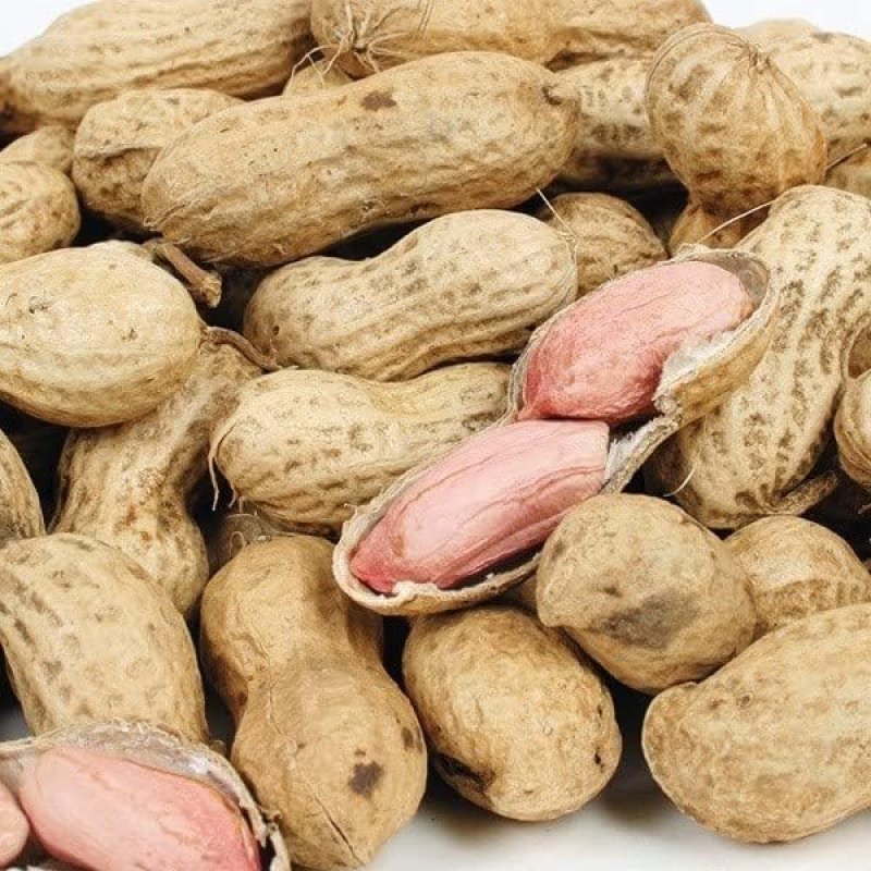 画像1: ナカテユタカ品種　素煎ピー（千葉・八街産）　Nakate Yutaka Frying peanuts 