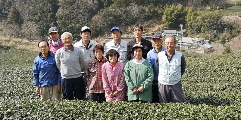 画像1: 川根茶「春のたより」