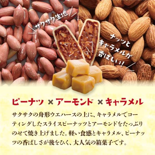 画像3: ピーナッツ フロランタン  (20枚入)  ”Peanut Florentine” 20pcs. (3)