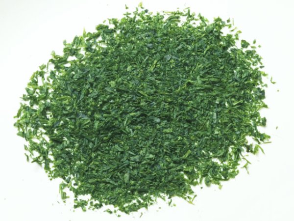 画像2: 青粉（アオサ） Green Flour (Ulva) (2)