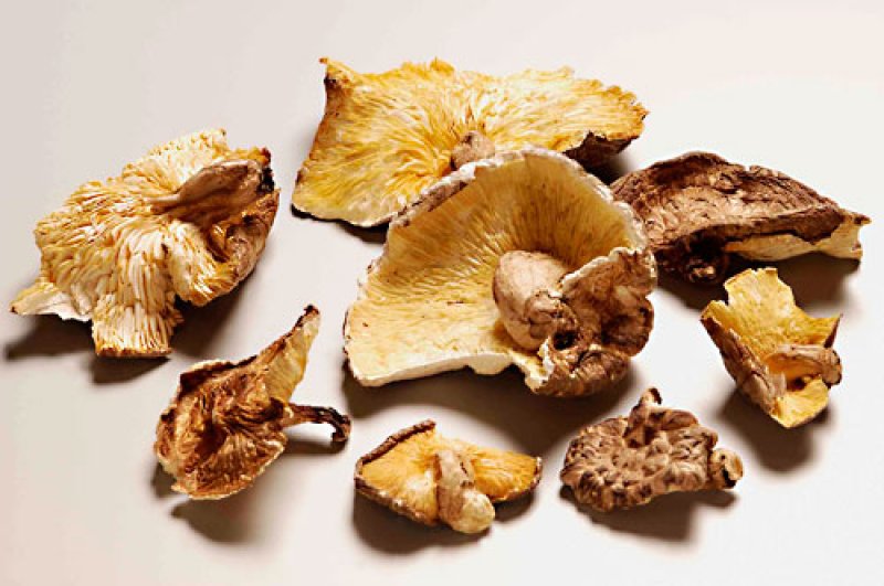 画像1: 荒葉しいたけ（国産乾椎茸）Araba Shiitake (domestic dried shiitake mushrooms)