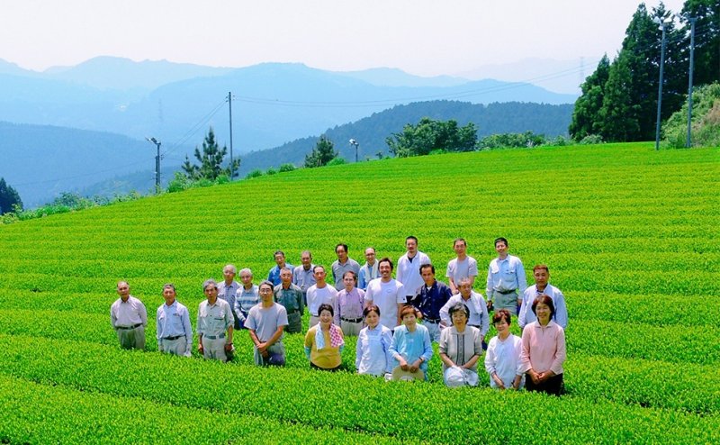 画像1: 有機煎茶いさがわ　Organic green tea "Isagawa"