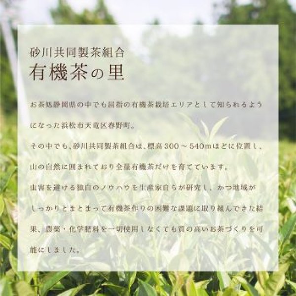 画像3: 煎茶まるごと物語　40g 　Sencya Marugoto monogatari 40g (3)