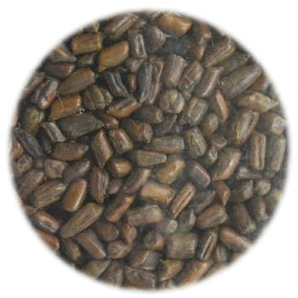 画像2: 焙じ　はぶ茶　（煮出し） Roasted Habucha (boiled) (2)