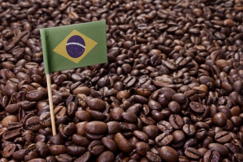 画像2: ブラジルブレンド（豆）200ｇ　”Brazil Blend (beans) 200g”