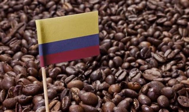 画像3: ブラジルブレンド(豆)400g ”Brazil Blend (beans) 400g”