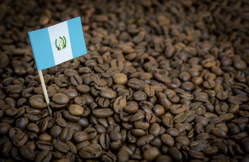 画像1: グアテマラ　400ｇ　ストリクトリーハードビーン　”Guatemala Strictly Hard Beans 400g”