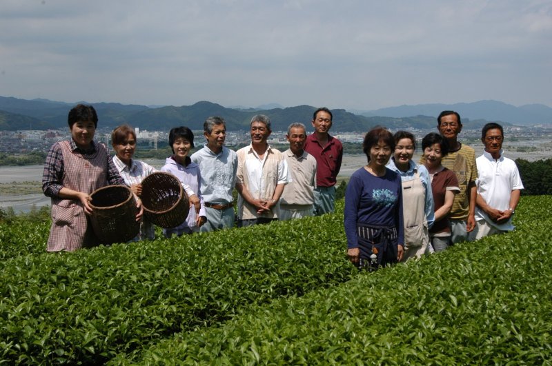 画像1: 静岡県産 深蒸し茶「宝舟」【TAKARAFUNE】Shizuoka made deep steamed tea.