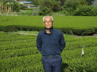 画像1: 2025静岡新茶「極 天下一」