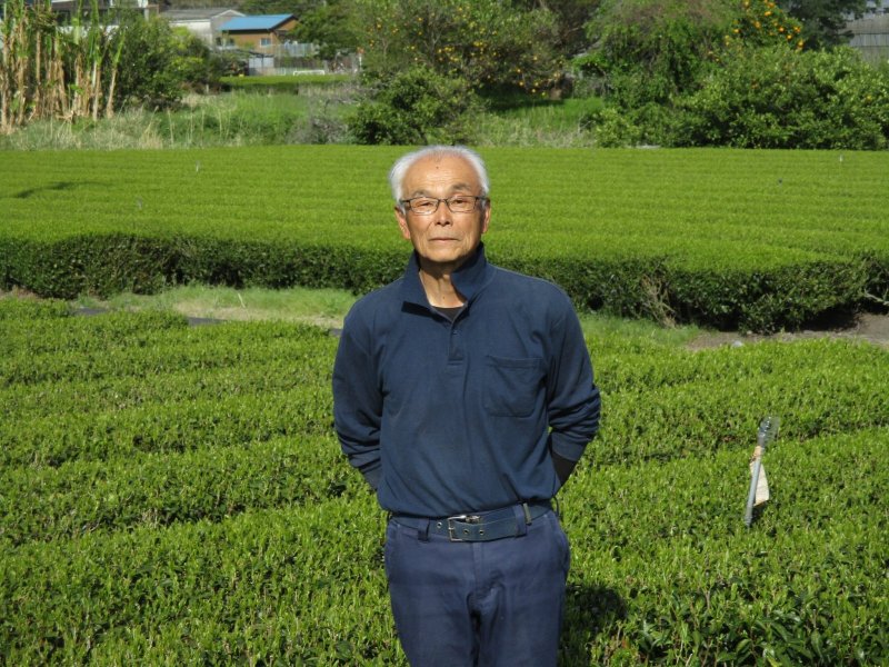 画像1: 静岡県産　深蒸し茶「舌つずみ」【SHITATSUZUMI】Shizuoka made deep steamed tea.