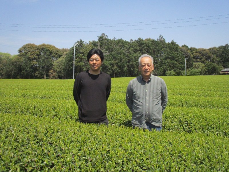 画像1: 静岡県産 深蒸し茶 「森のかおり」【MORIOKAORI】Shizuoka made deep steamed tea.