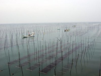 画像3: 有明海産焼のり　極　ARIAKE Roasted seeweed ”KIWAMI"
