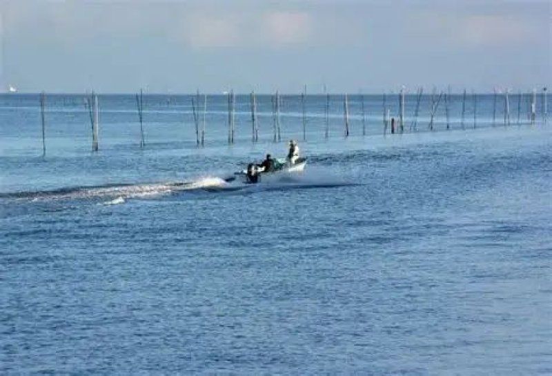 画像1: 新のり　江戸前千葉　一番採り　極　金田産　New Roasted seaweed　FIRST FULSH Made from Kaneda