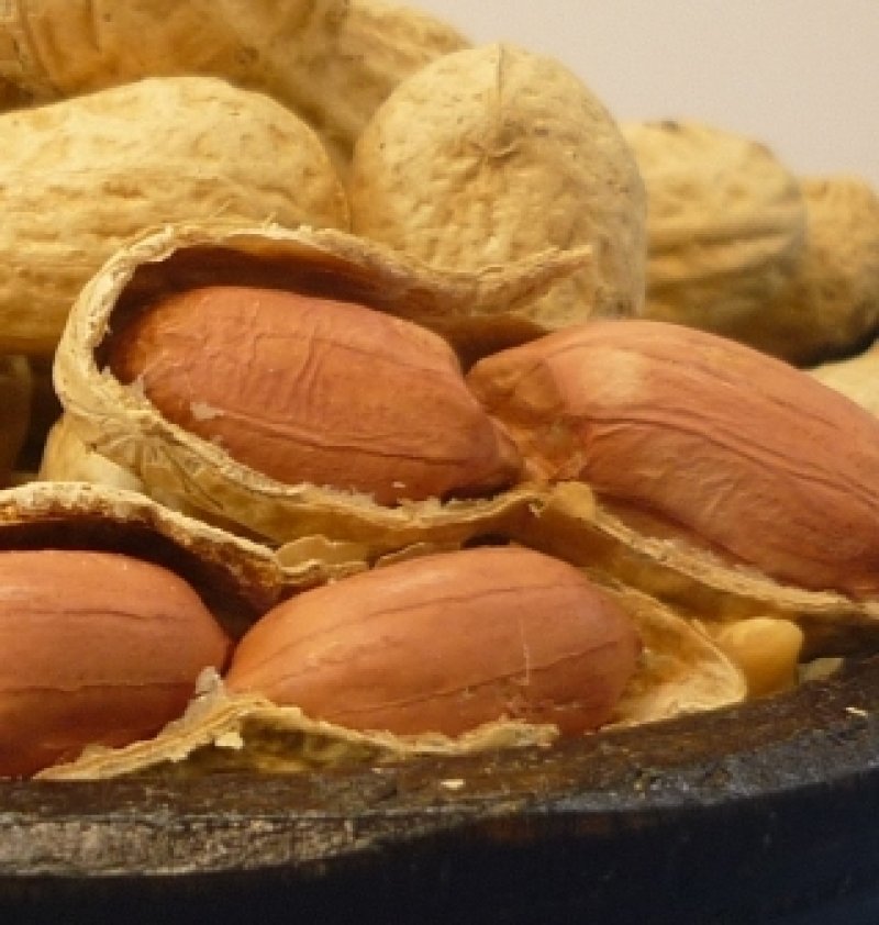 画像2: 新豆 ナカテユタカ品種 300g (千葉・八街産) Nakate Yutaka peanuts (300g )Yachimata Chiba made