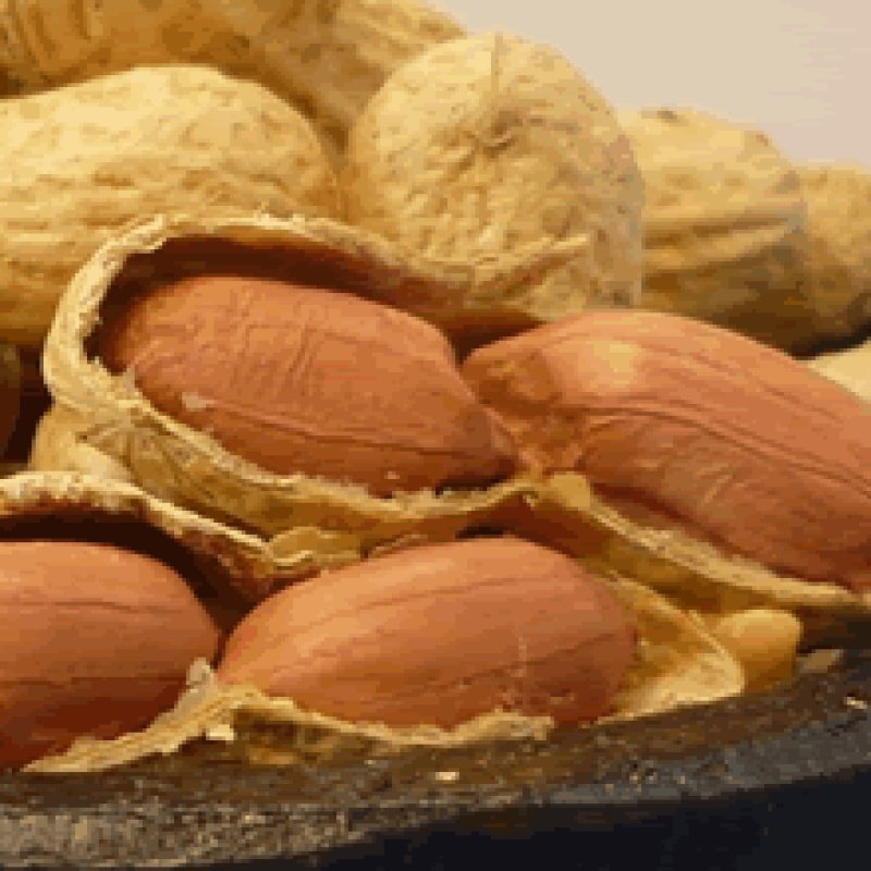 画像2: 新豆　ナカテユタカ品種　600ｇ(千葉・八街産）Nakate Yutaka peanuts （650g ）Yachimata Chiba made