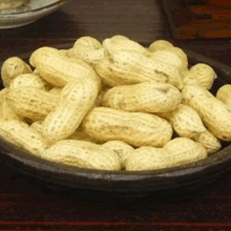 画像1: 新豆　ナカテユタカ品種　600ｇ(千葉・八街産）Nakate Yutaka peanuts （650g ）Yachimata Chiba made