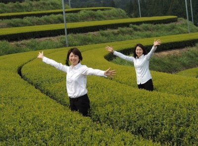 画像1: 荒茶造　鹿児島産　200ｇ