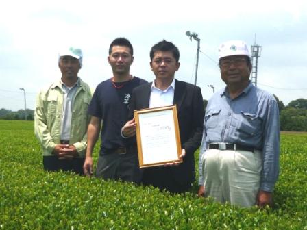 静岡県産　茶葉の件